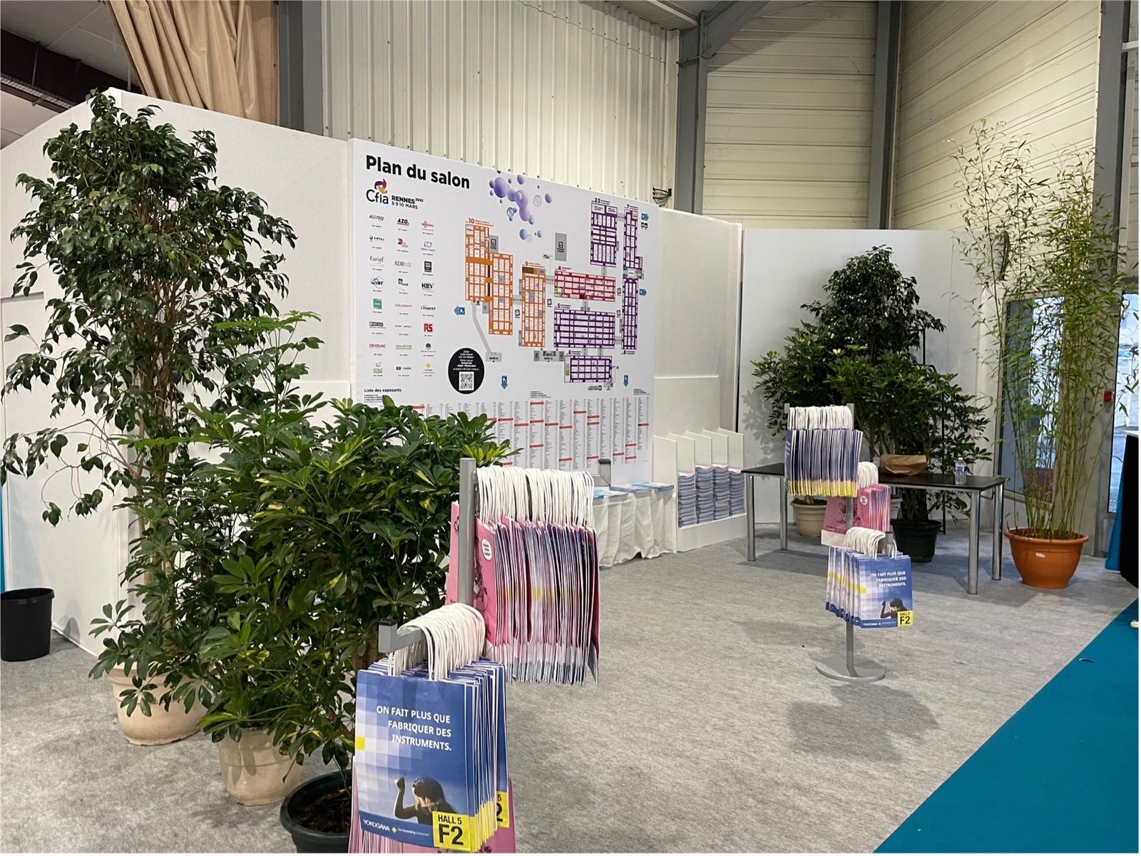 Entrée de stand végétalisée avec ficus et scheffleras sur un salon