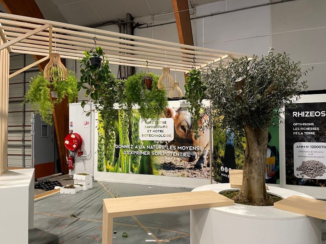 Plantes retombantes suspendues et olivier sur un stand de salon