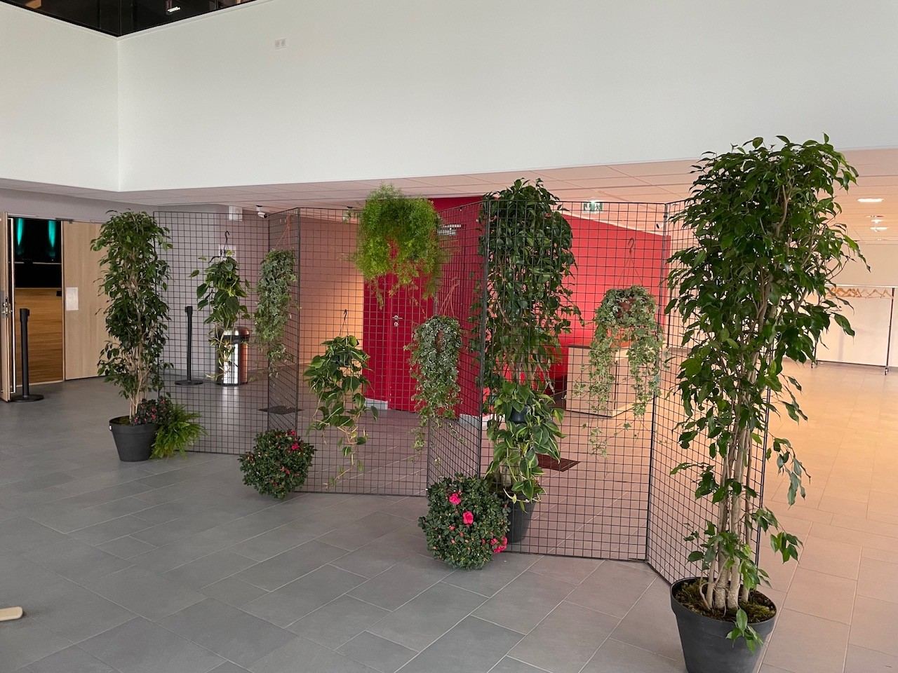 Accueil d'événement végétalisé avec ficus et claustras