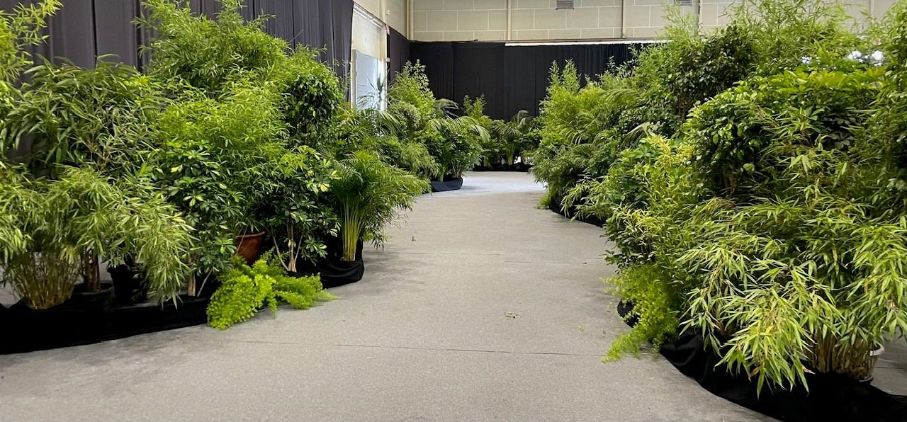 Allée immersive de bambous et plantes vertes sur un salon professionnel